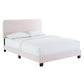 Modway Celine Channel Tufted Performance Velvet King Platform Bed in Pink