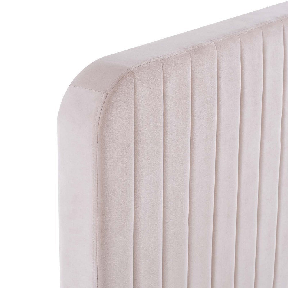 Modway Celine Channel Tufted Performance Velvet Full Platform Bed in Pink MDY-MOD-6335-PNK