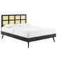 Modway Sidney Cane Rattan and Wood Queen Platform Bed in Black with Splayed Legs