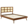 Modway Sidney Cane Rattan and Wood Queen Platform Bed in Walnut with Splayed Legs MDY-MOD-6370-WAL