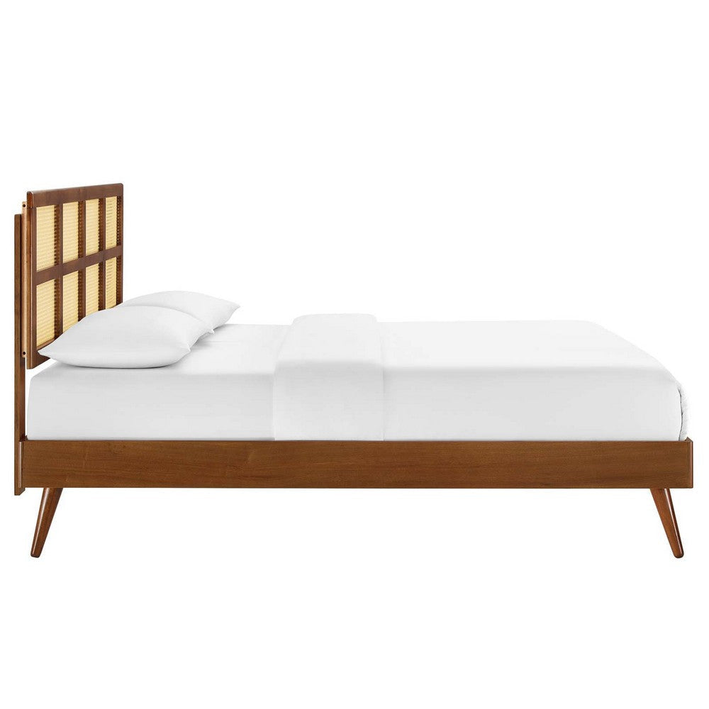 Modway Sidney Cane Rattan and Wood Queen Platform Bed in Walnut with Splayed Legs MDY-MOD-6370-WAL