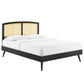 Modway Sierra Cane and Wood Queen Platform Bed with Splayed Legs in Black