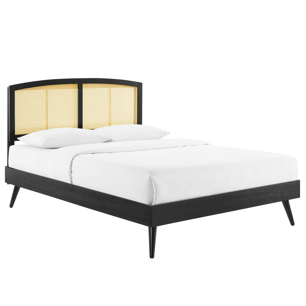 Modway Sierra Cane and Wood Queen Platform Bed with Splayed Legs in Black