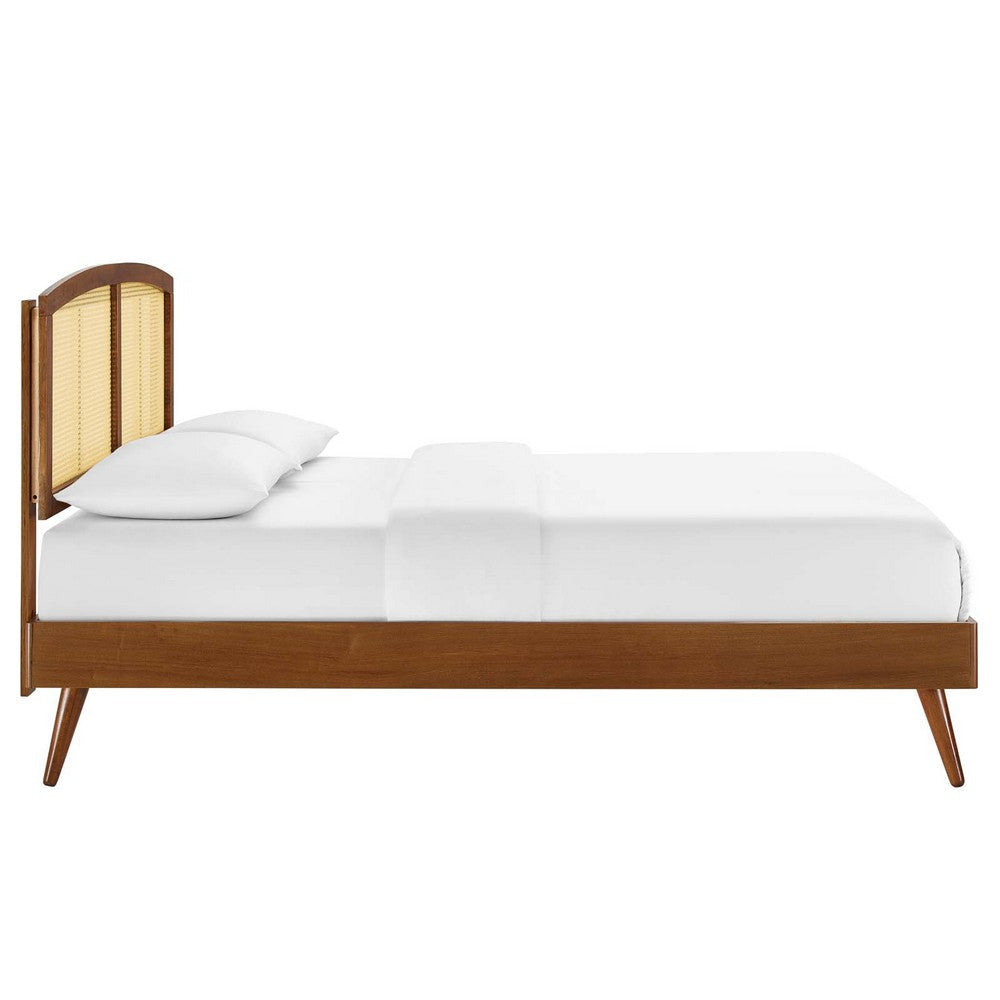 Modway Sierra Cane and Wood Queen Platform Bed with Splayed Legs in Walnut MDY-MOD-6376-WAL