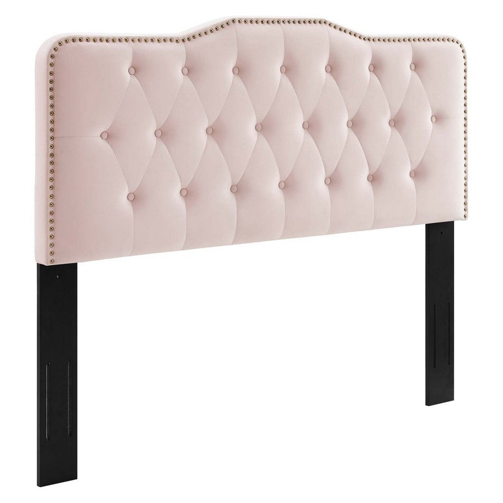 Modway MOD-6410-PNK Sophia Tufted Performance Velvet Full/Queen Headboard, Pink