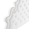 Diana Tufted Performance Velvet Full/Queen Headboard - No Shipping Charges MDY-MOD-6417-PNK