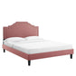 Modway MOD-6582-DUS Adelaide Performance Velvet Queen Bed, Dusty Rose Platform