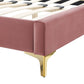 Modway Peyton Channel Tufted Performance Velvet Queen Platform Bed in Dusty Rose with Gold Metal Legs MDY-MOD-6595-DUS