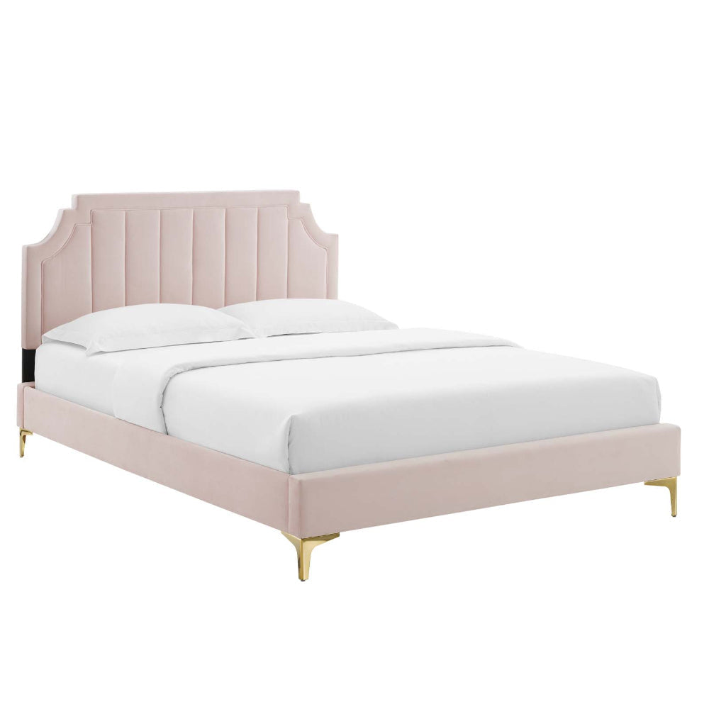 Modway Sienna Performance Velvet Queen Platform Bed in Pink