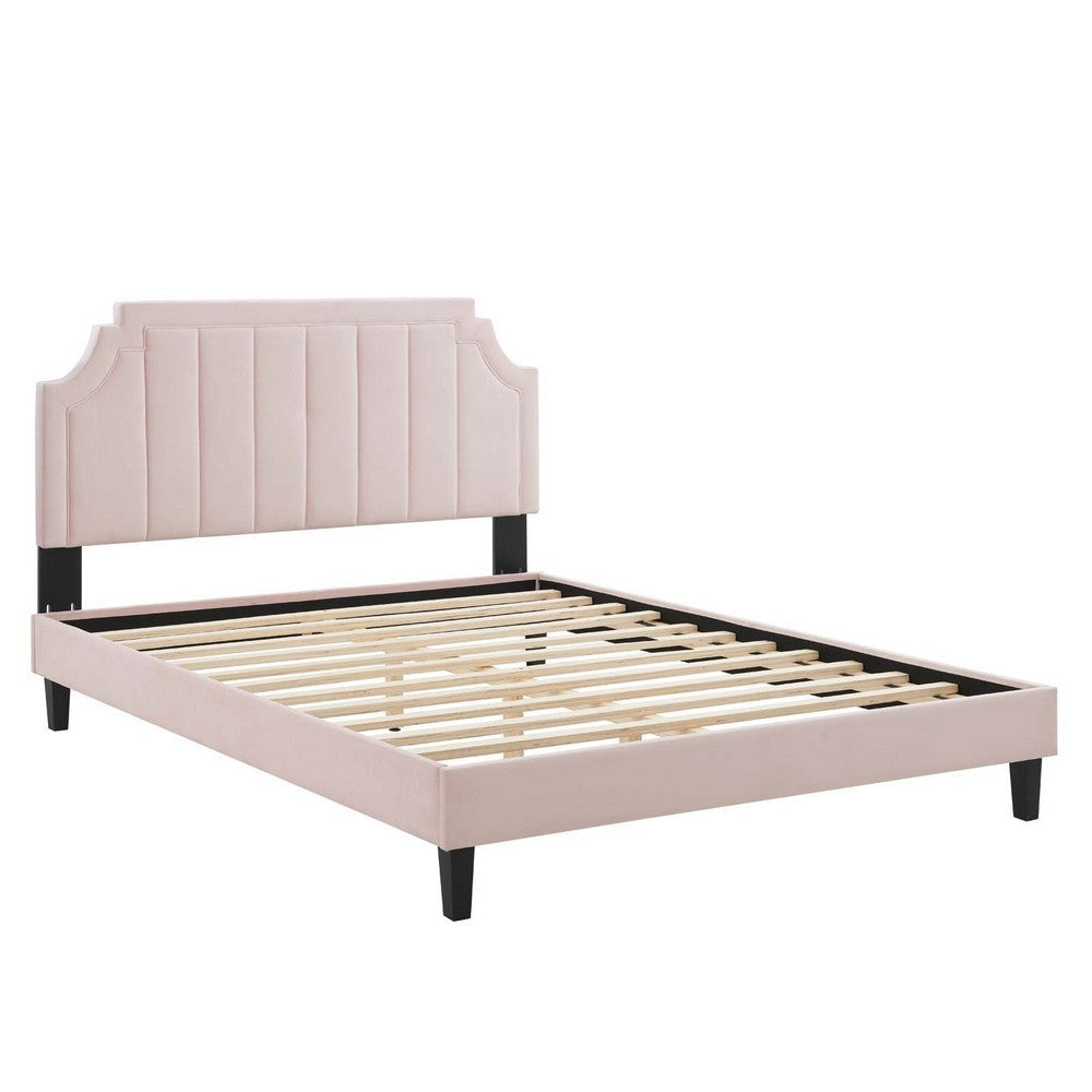 Modway Sienna Performance Velvet Queen Platform Bed in Pink MDY-MOD-6714-PNK