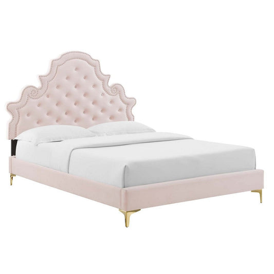 Modway Gwyneth Tufted Performance Velvet Queen Platform Bed in Pink with Gold Metal Legs