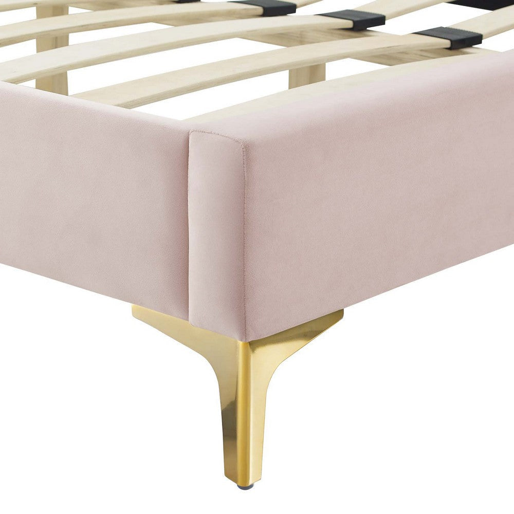 Modway Gwyneth Tufted Performance Velvet Queen Platform Bed in Pink with Gold Metal Legs MDY-MOD-6751-PNK