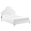 Modway Gwyneth Tufted Performance Velvet Queen Platform Bed in White with Gold Metal Legs