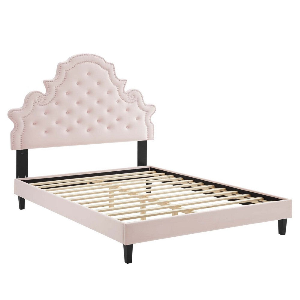 Modway Gwyneth Tufted Performance Velvet Queen Platform Bed in Pink with Black Wood Legs MDY-MOD-6753-PNK