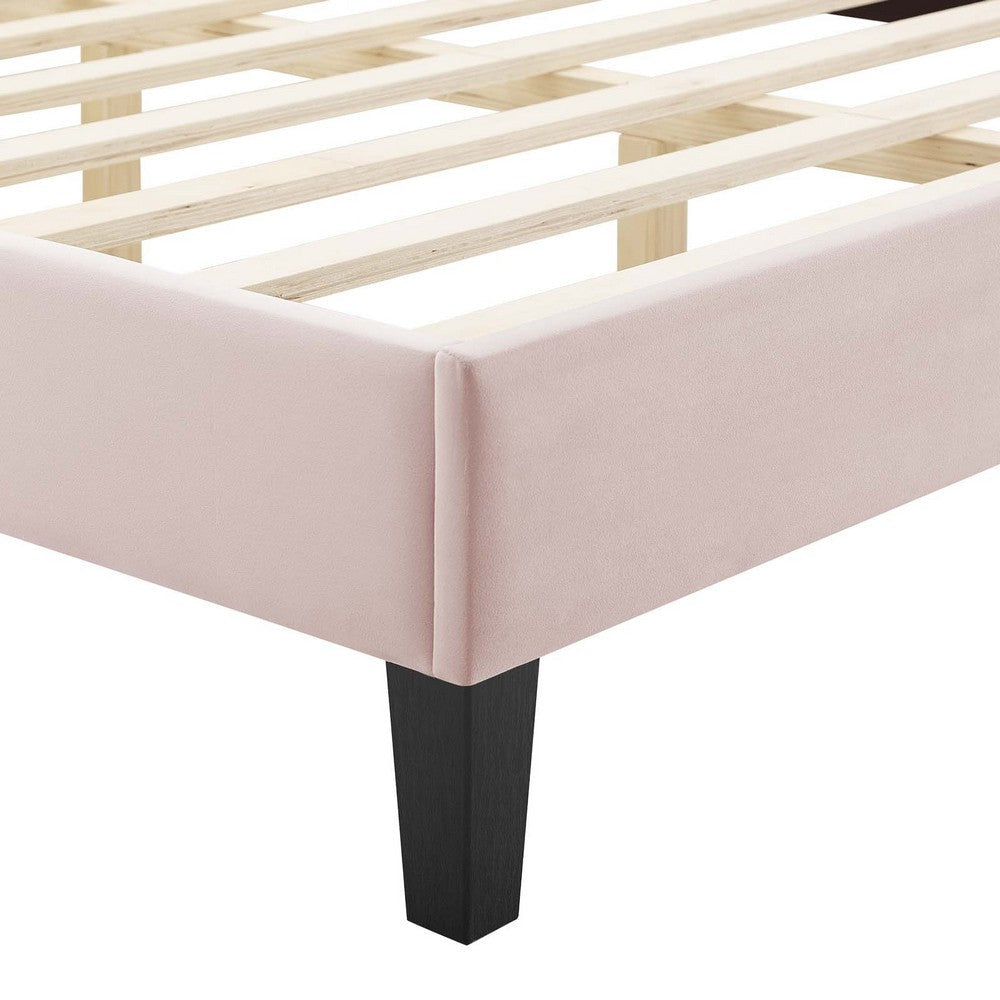 Modway Gwyneth Tufted Performance Velvet Queen Platform Bed in Pink with Black Wood Legs MDY-MOD-6753-PNK