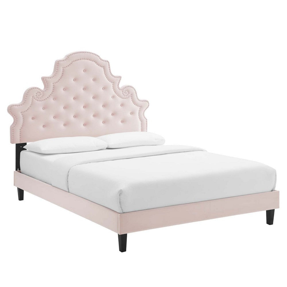 Modway Gwyneth Tufted Performance Velvet Queen Platform Bed in Pink with Black Wood Legs