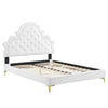 Modway Gwyneth Tufted Performance Velvet Full Platform Bed in White with Gold Metal Legs MDY-MOD-6757-WHI