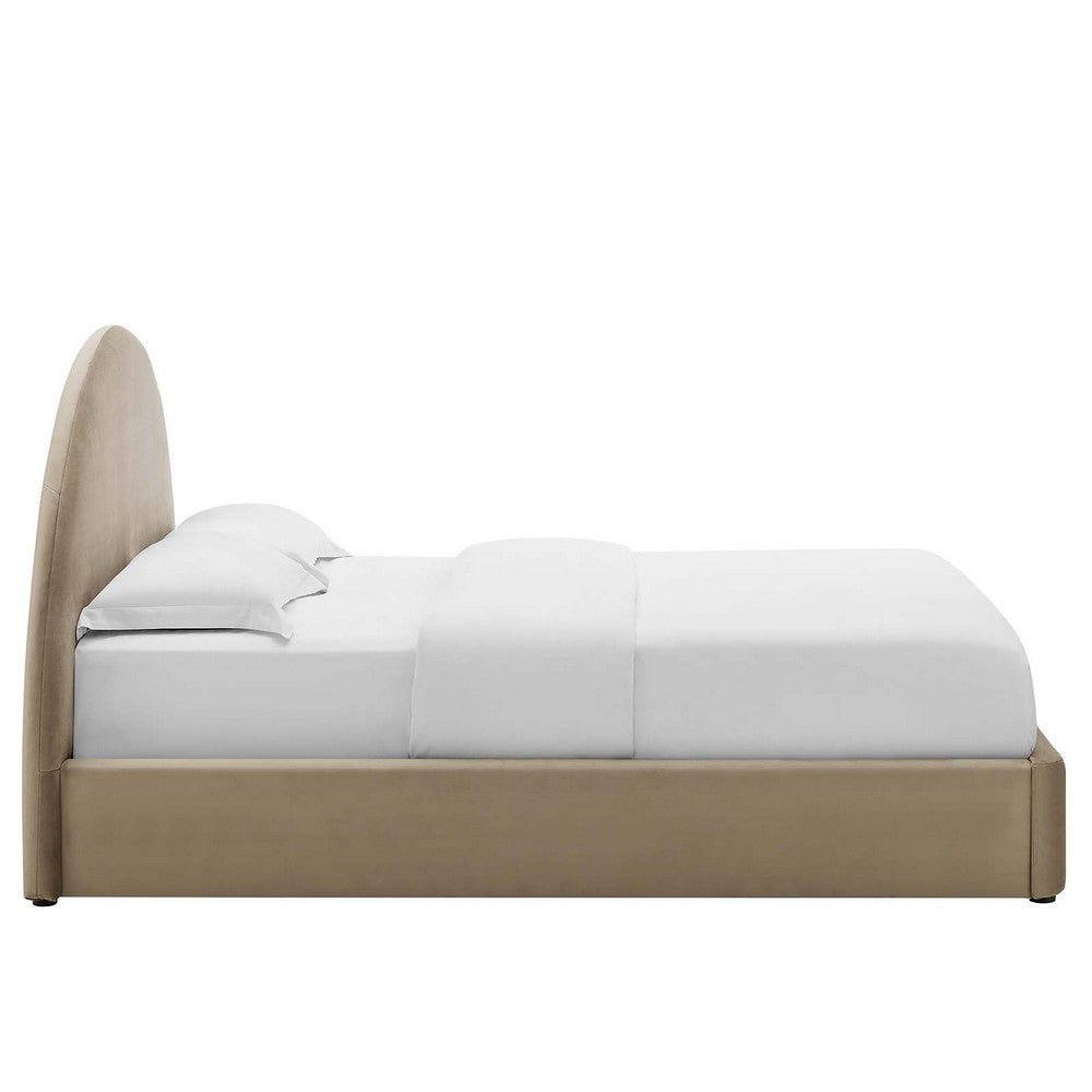 Modway Resort Full Size Platform Bed with Arch Shaped Round Headboard in Taupe Upholstered Velvet Bed Frameain-Resistant Performance Velvet