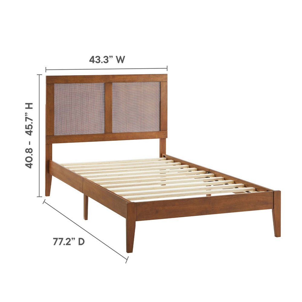 Modway Sirocco Platform Bed Twin Walnut MDY-MOD-7152-WAL