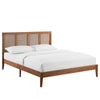 Modway Sirocco Platform Bed, Queen, Walnut