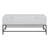 45 Inch Rectangular Mango Wood Coffee Table Lift Top Storage Iron Frame White Black - UPT-229062 UPT-229062