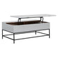 45 Inch Rectangular Mango Wood Coffee Table Lift Top Storage Iron Frame White Black - UPT-229062 UPT-229062