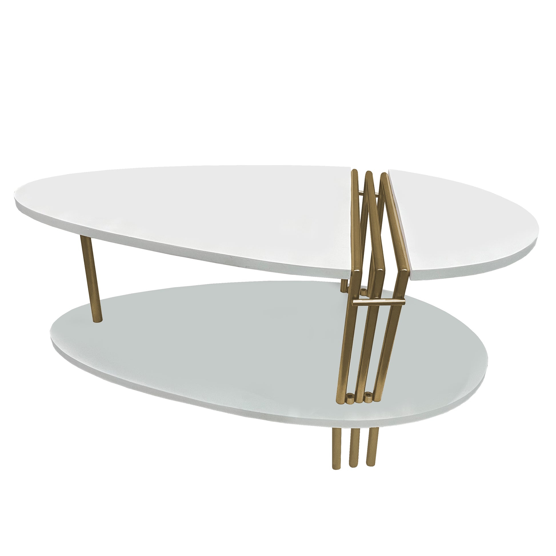 36 Inch Modern Coffee Table Oval Elliptical Shape White Mango Wood With Antique Brass The Urban Port UPT-293502