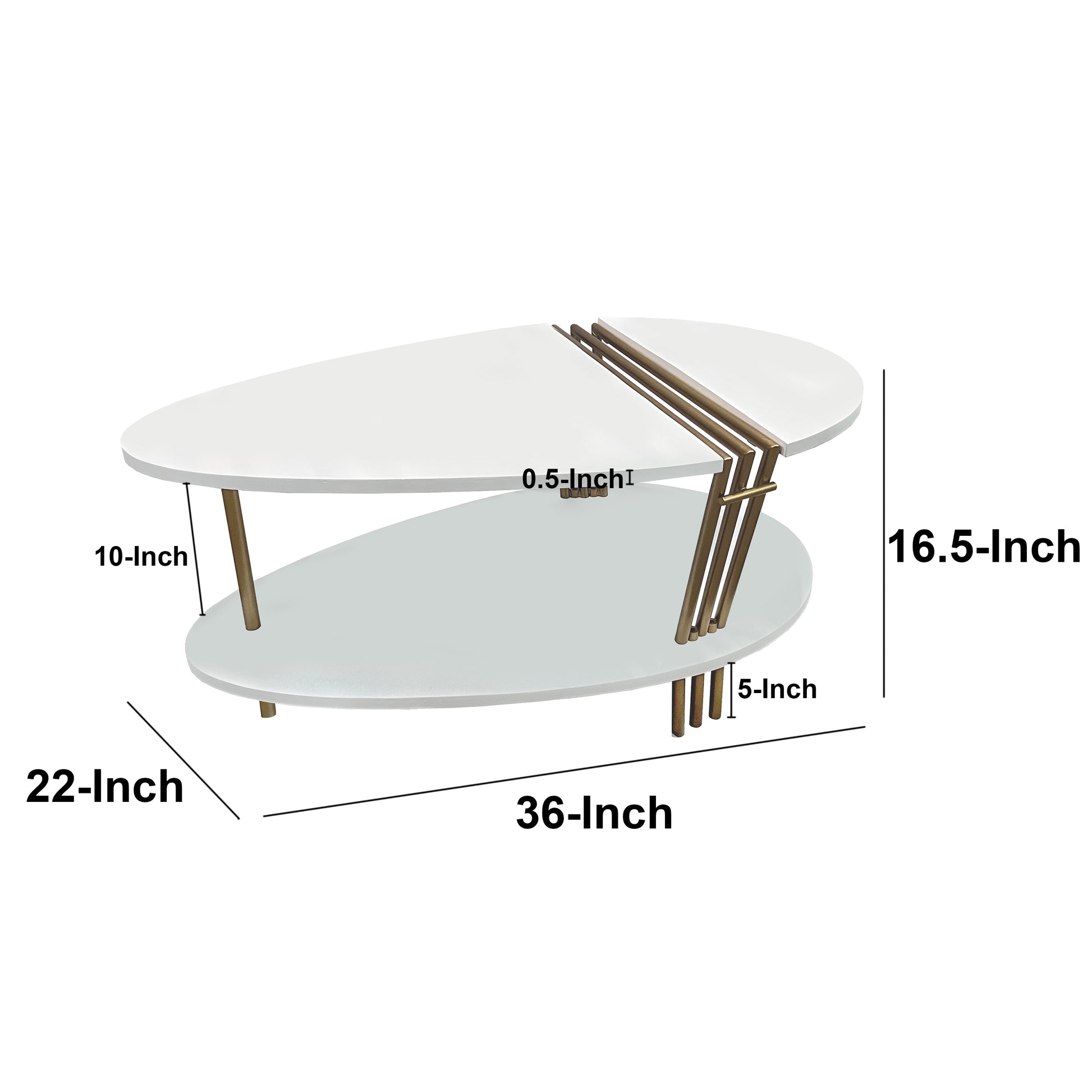 36 Inch Modern Coffee Table Oval Elliptical Shape White Mango Wood With Antique Brass The Urban Port UPT-293502