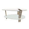 36 Inch Modern Coffee Table Oval Elliptical Shape White Mango Wood With Antique Brass The Urban Port UPT-293502