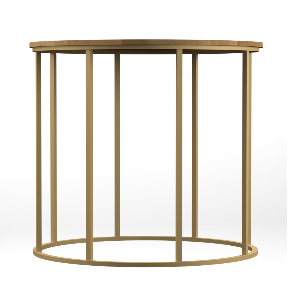 19 Inch Side End Table O Round Shape Natural Mango Wood Top Brass Powder Coated Open Frame By The Urban Port UPT-310986