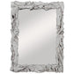 Uttermost Rio Whitewash Teak Mirror By Casagear Home