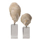 Uttermost Oyster Shell Sculptures, S/2 By Casagear Home