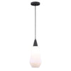 Uttermost Eichler 1 Light Mini Pendant By Casagear Home UT-21525