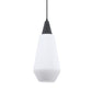 Uttermost Eichler 1 Light Mini Pendant By Casagear Home UT-21525