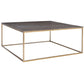 Uttermost Trebon Modern Coffee Table By Casagear Home UT-25370