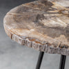 Uttermost Mircea Petrified Wood Accent Table By Casagear Home UT-25461