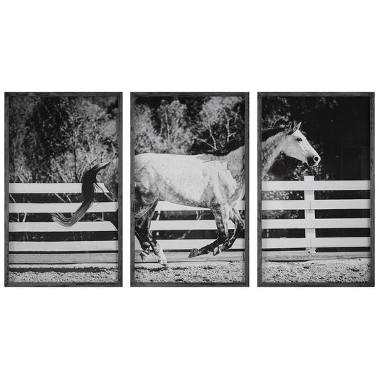 Uttermost Galloping Forward Equine Prints, Set/3 By Casagear Home