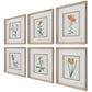 Uttermost Classic Botanicals Framed Prints Set/6 By Casagear Home UT-32284