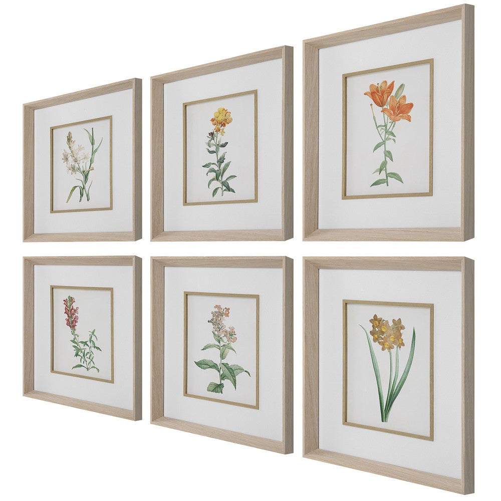 Uttermost Classic Botanicals Framed Prints Set/6 By Casagear Home UT-32284