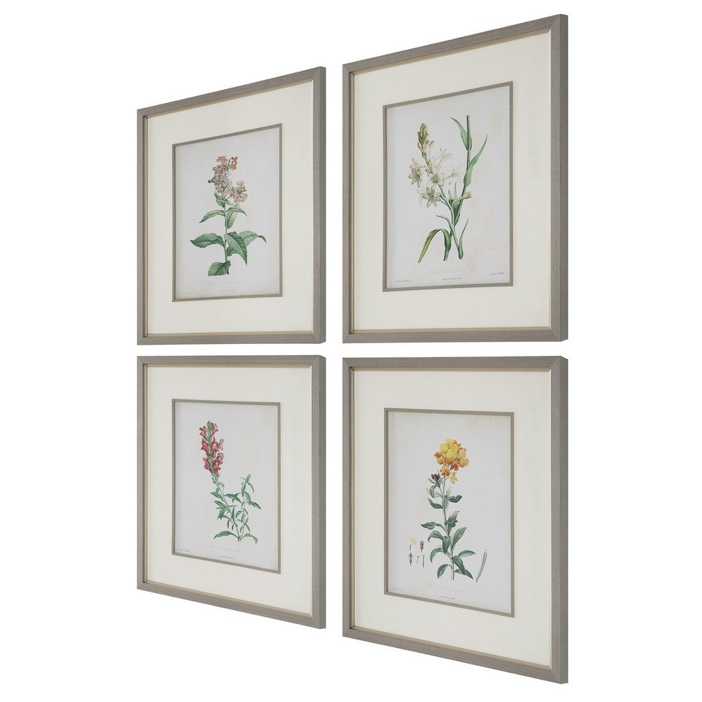 Uttermost Heirloom Blooms Study Framed Prints Set/4 By Casagear Home UT-32285