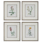 Uttermost Heirloom Blooms Study Framed Prints Set/4 By Casagear Home