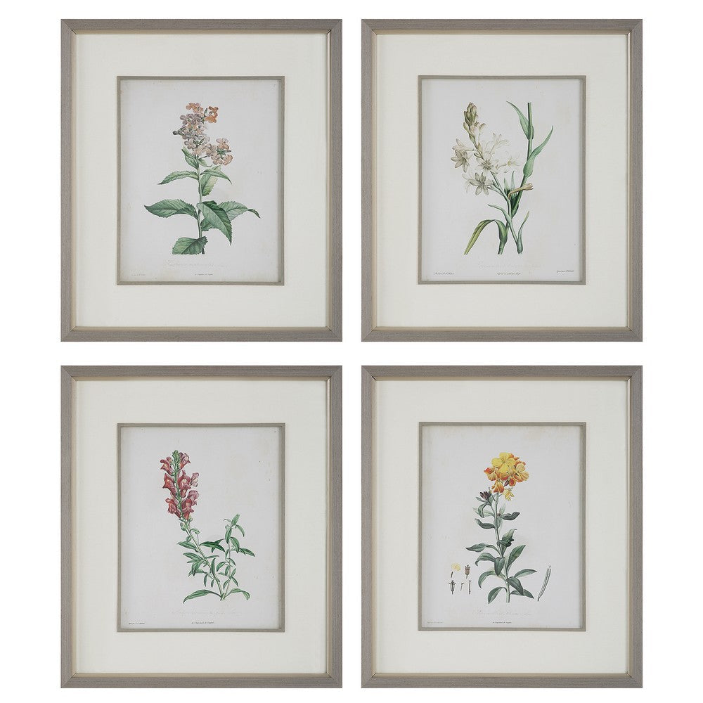 Uttermost Heirloom Blooms Study Framed Prints Set/4 By Casagear Home