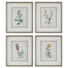 Uttermost Heirloom Blooms Study Framed Prints Set/4 By Casagear Home