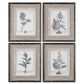 Uttermost Casual Grey Study Framed Art Set/4 By Casagear Home