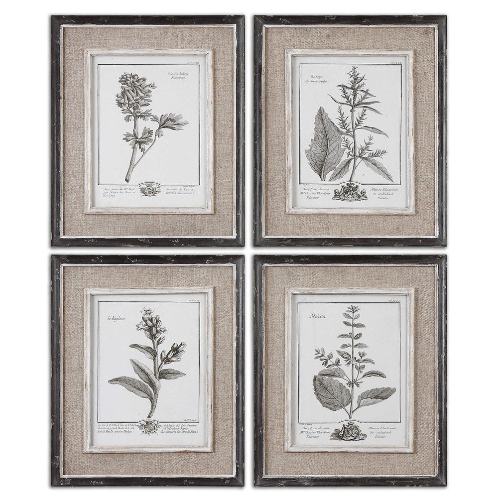 Uttermost Casual Grey Study Framed Art Set/4 By Casagear Home