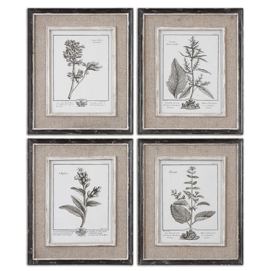 Uttermost Casual Grey Study Framed Art Set/4 By Casagear Home