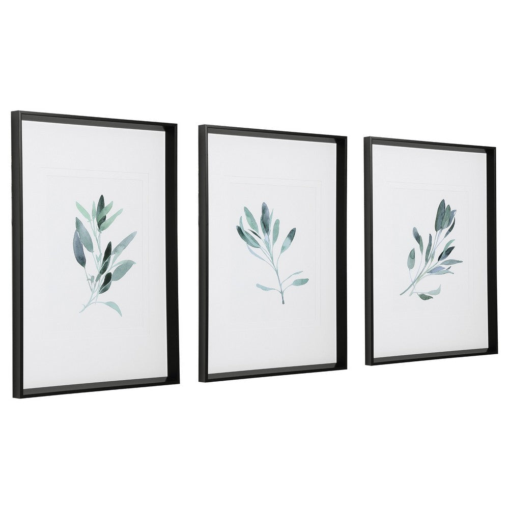 Uttermost Simple Sage Watercolor Prints S/3 By Casagear Home UT-33723