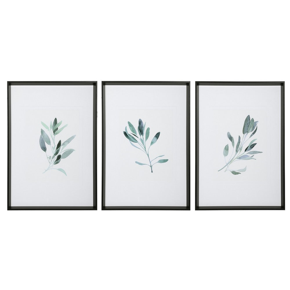 Uttermost Simple Sage Watercolor Prints, S/3 By Casagear Home