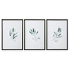 Uttermost Simple Sage Watercolor Prints, S/3 By Casagear Home