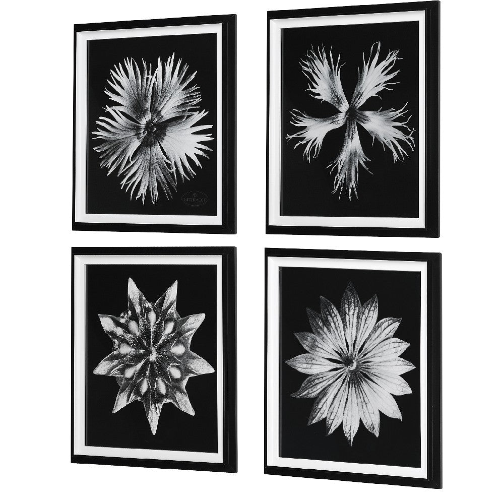 Uttermost Contemporary Floret Framed Prints Set of 4 By Casagear Home UT-41427